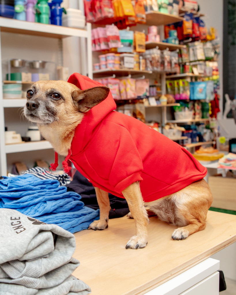 Lifeguard Dog Hoodie in Red Wear CHLOE AND MAX   