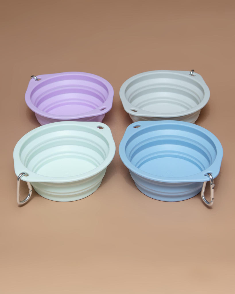 Collapsible Silicone Travel Dog Bowl Eat BARKWELL   