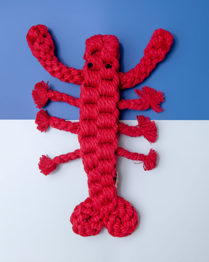 Lobster Sustainable Handmade Nautical Dog Rope Toy PLAY KNOTTY PAWZ
