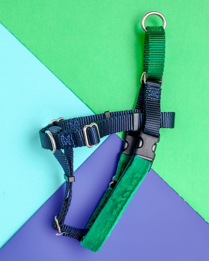 Freedom No-Pull Harness in Navy & Kelly Green (Made in the USA) WALK 2 HOUNDS for DOG & CO. (Exclusive)   