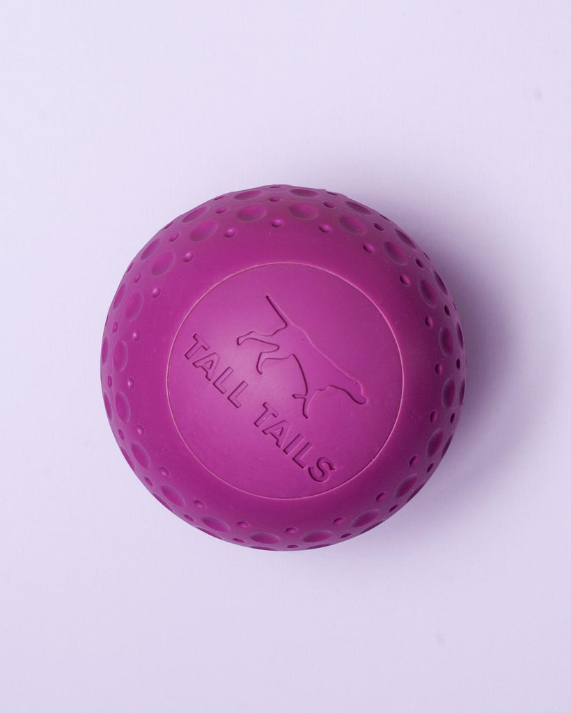Rubber Floating Dog Ball Toy Play TALL TAILS Large (Purple)  