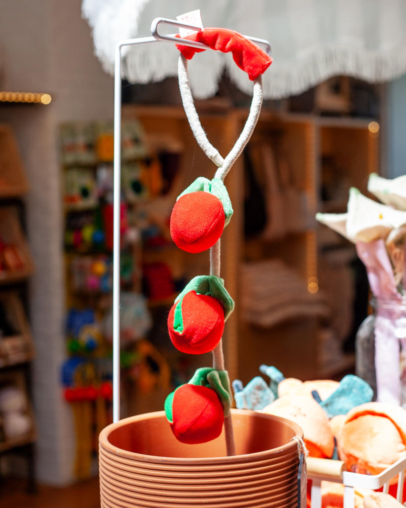Cherry Tomato Nose Work & Tug Dog Toy Play THE FURRYFOLKS