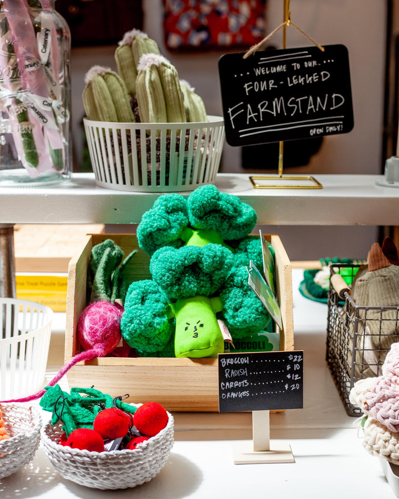 Broccoli Nosework Dog Toy Play THE FURRY FOLKS