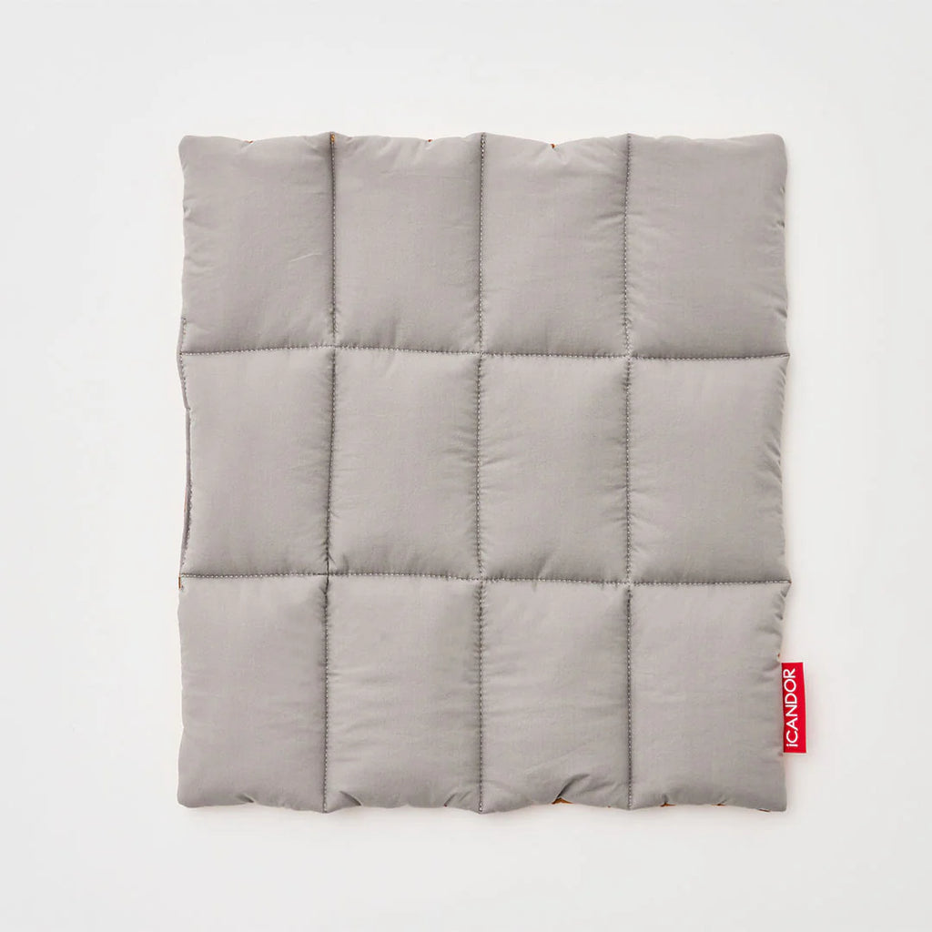 iBag Dog Carrier in Cream