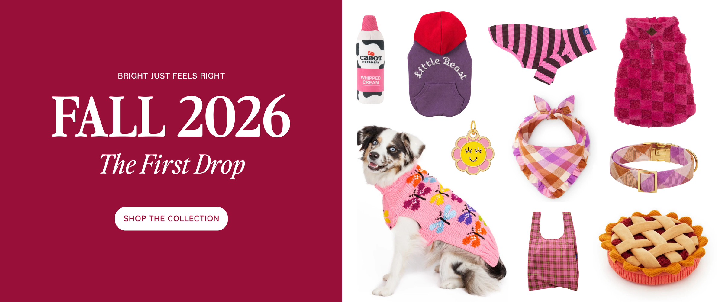 DOG & CO. | Quality Pet Products, In-Store & Online