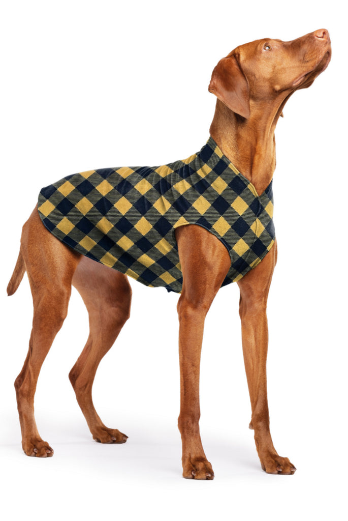 Stretch Fleece Pullover in Yellow Buffalo Plaid Wear GOLD PAW   