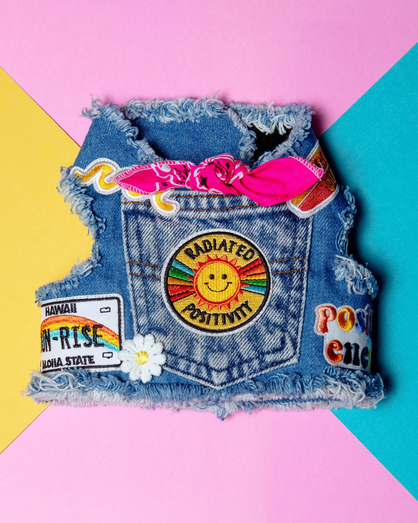 Sunshine Positivity Denim Dog Harness WALK HEADS OR TAILS PUP   