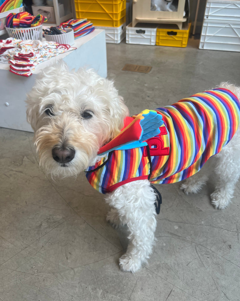 Proud Dog Rainbow Stripe Tank Top (FINAL SALE) Wear THE WORTHY DOG   