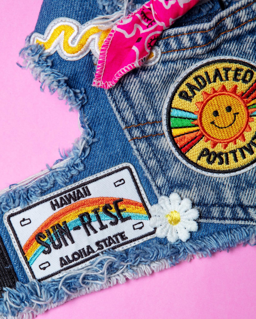 Sunshine Positivity Denim Dog Harness WALK HEADS OR TAILS PUP   