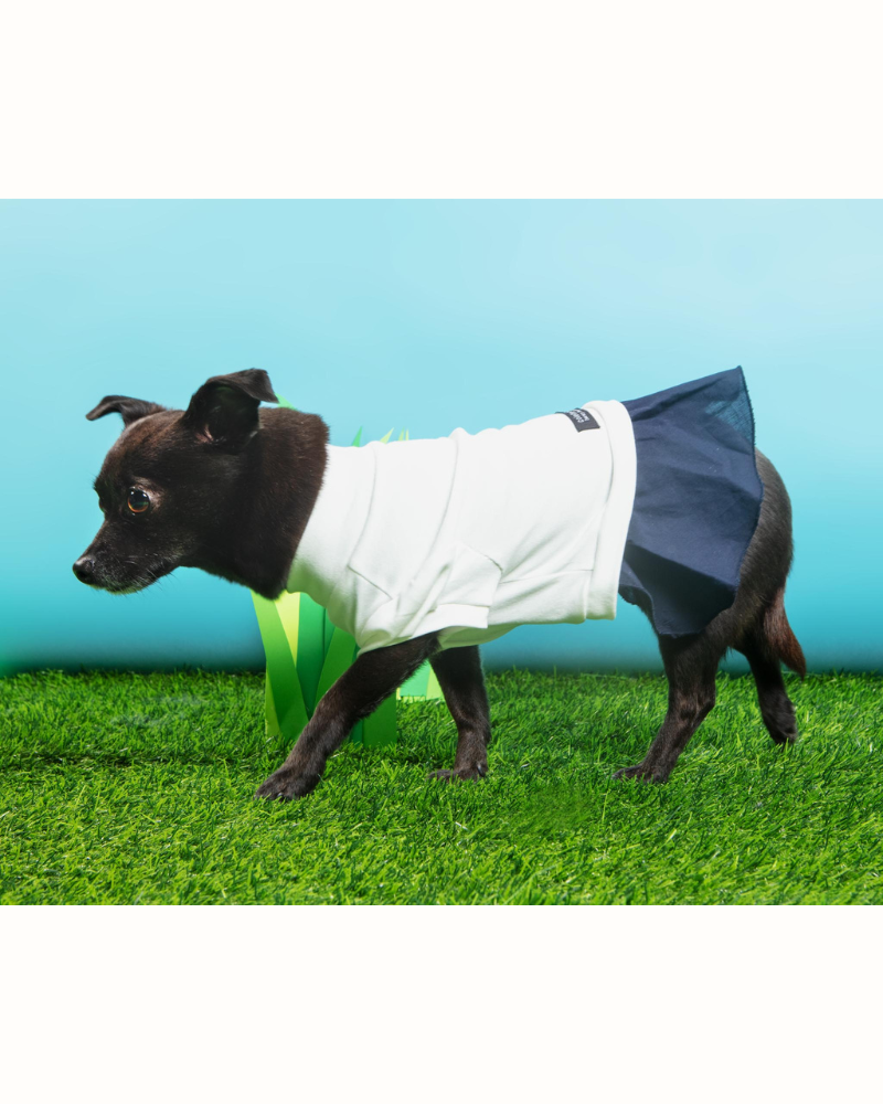 Soft Dog Dress in White & Navy (FINAL SALE) Wear COLETTE ET GASTON   