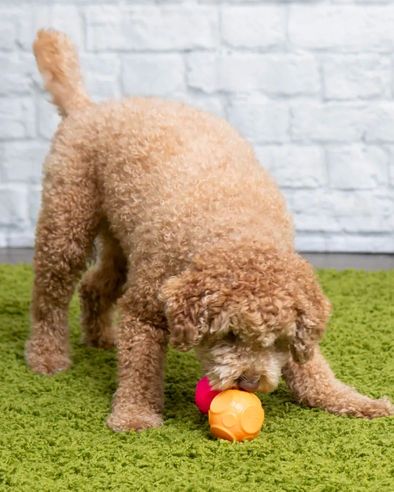 GO DOG | Silent Squeak 2-Pack Ball for Dogs | DOG & CO.