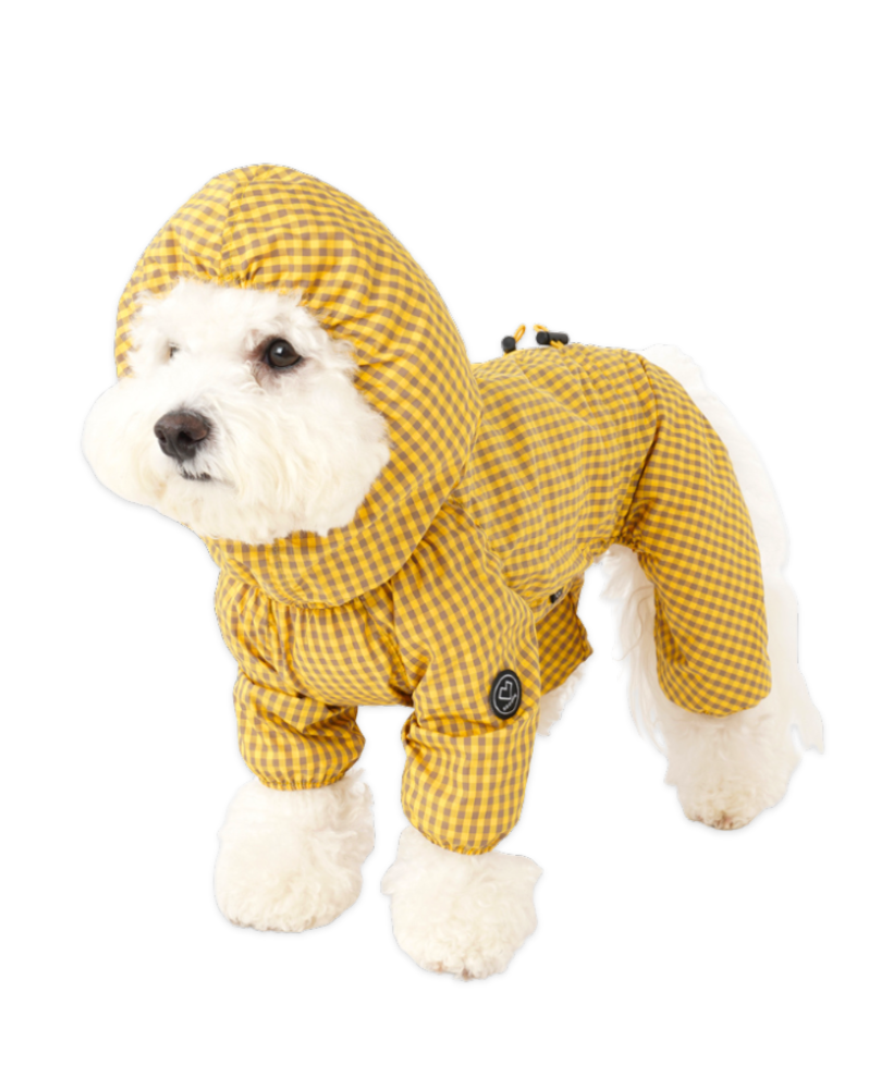 DOG & CO. | Quality Pet Products, In-Store & Online
