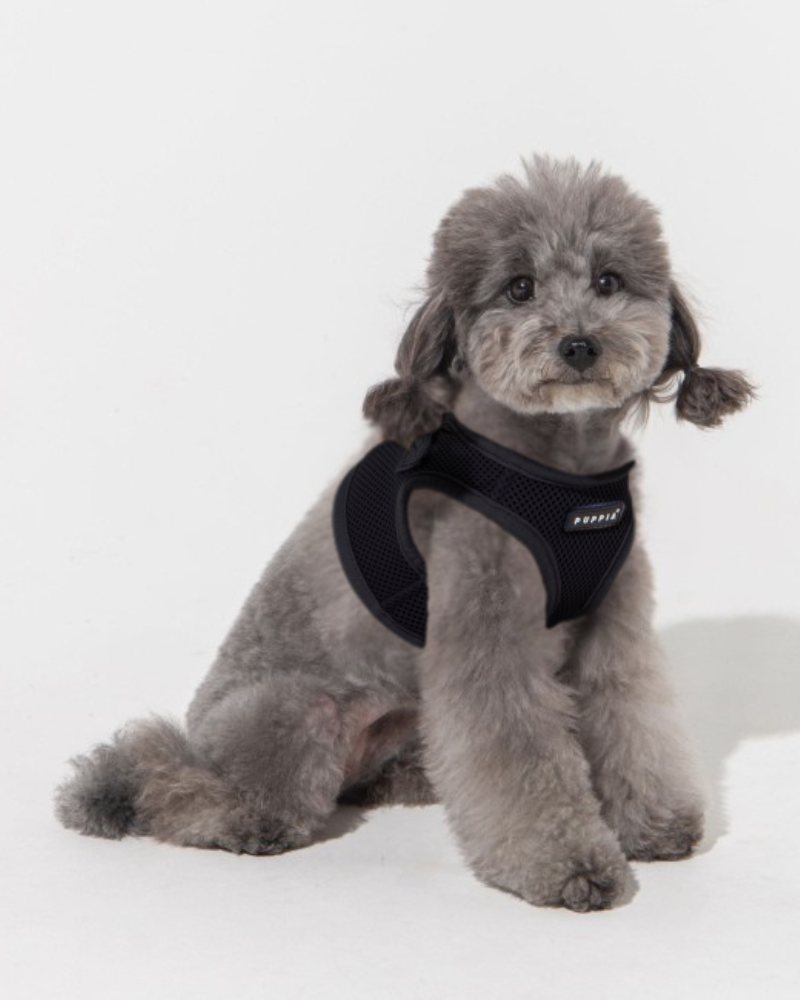 Soft Vest Dog Harness in Black WALK PUPPIA