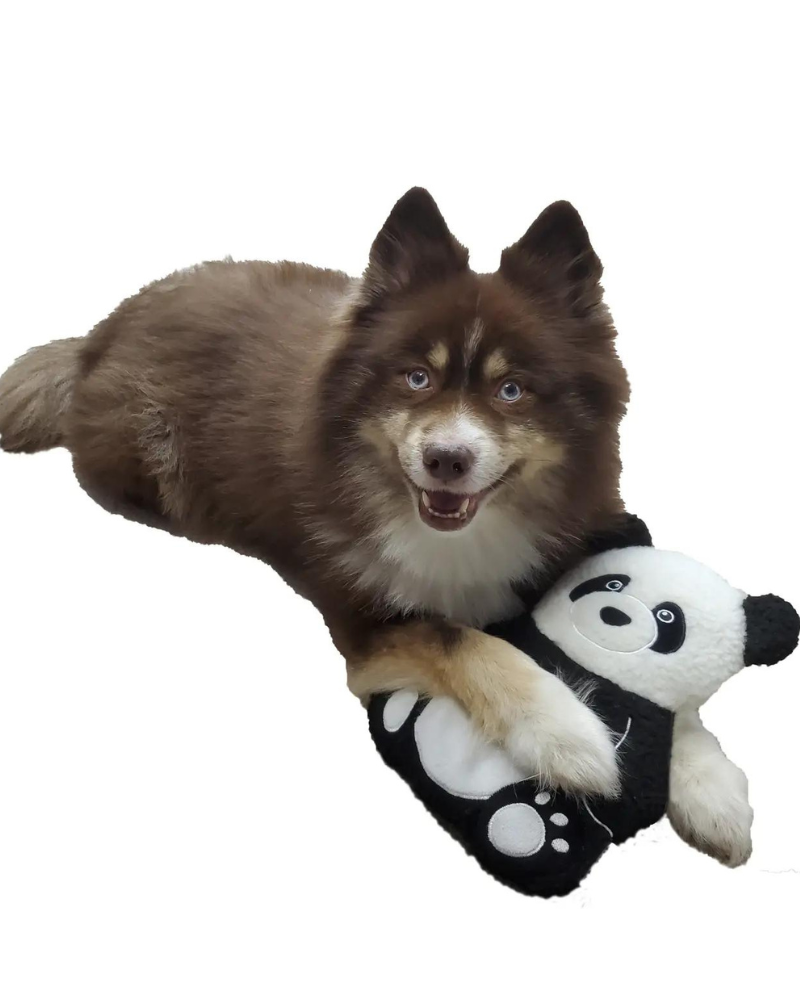 Pepper the Giant Panda Fleece Dog Toy PLAY BARKER'S BOWTIQUE   