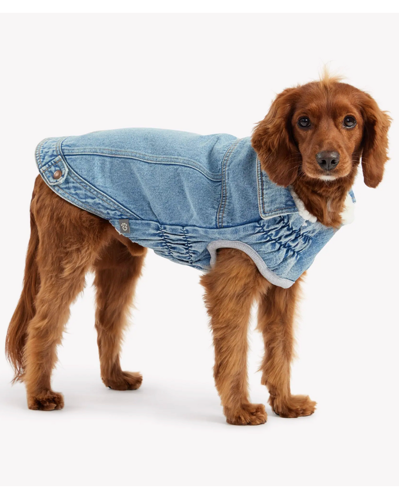 Northside Sherpa-Lined Denim Dog Jacket