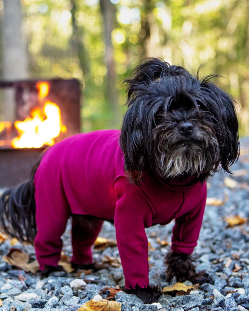 Stretch Fleece Onesie with Shawl Collar in Garnet (Made in the USA, DOG & CO. + GOLD PAW Exclusive!) Wear GOLD PAW