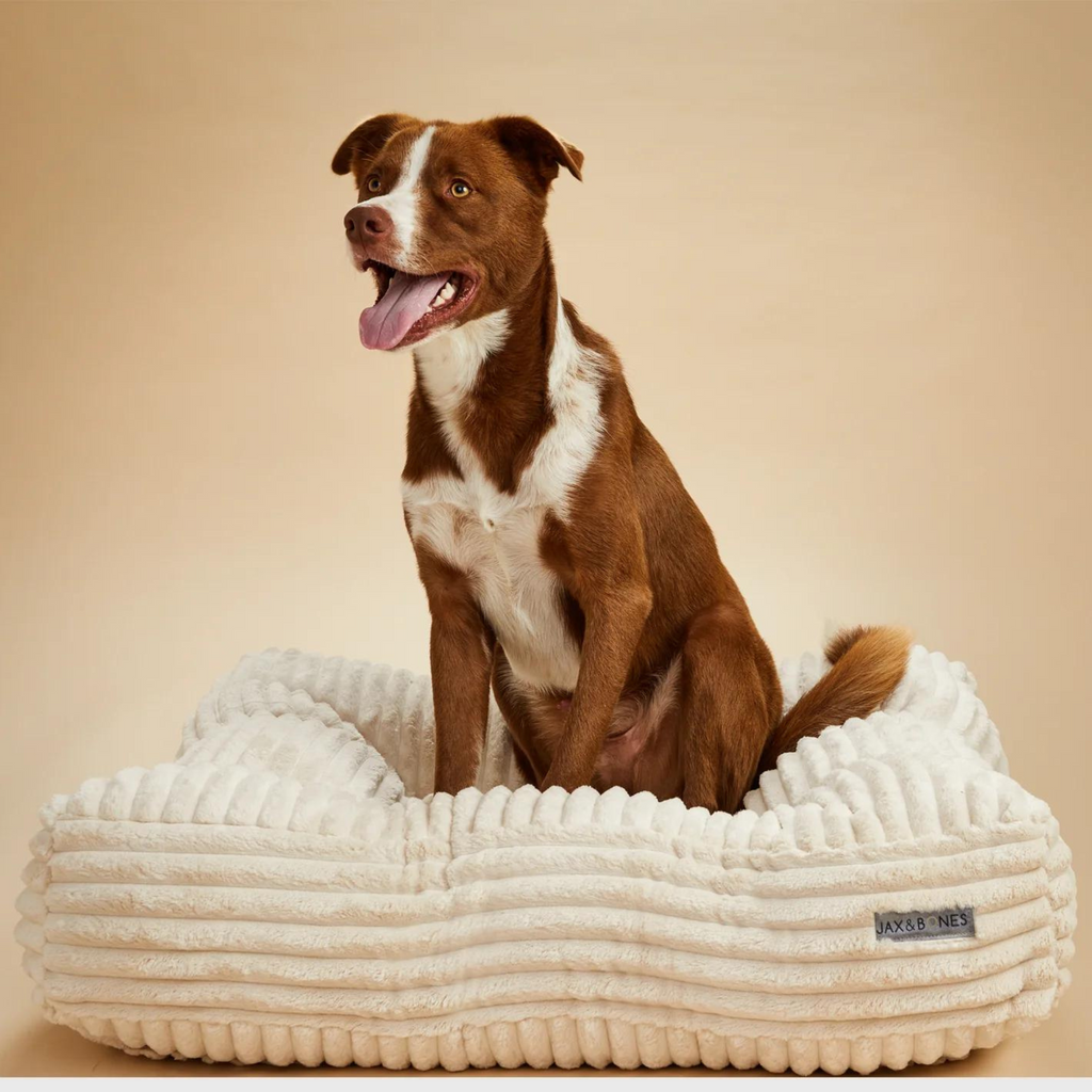 Pillow Top Dog Bed in Luna Ivory (Direct Ship)<br>(Made in the USA) HOME JAX & BONES   