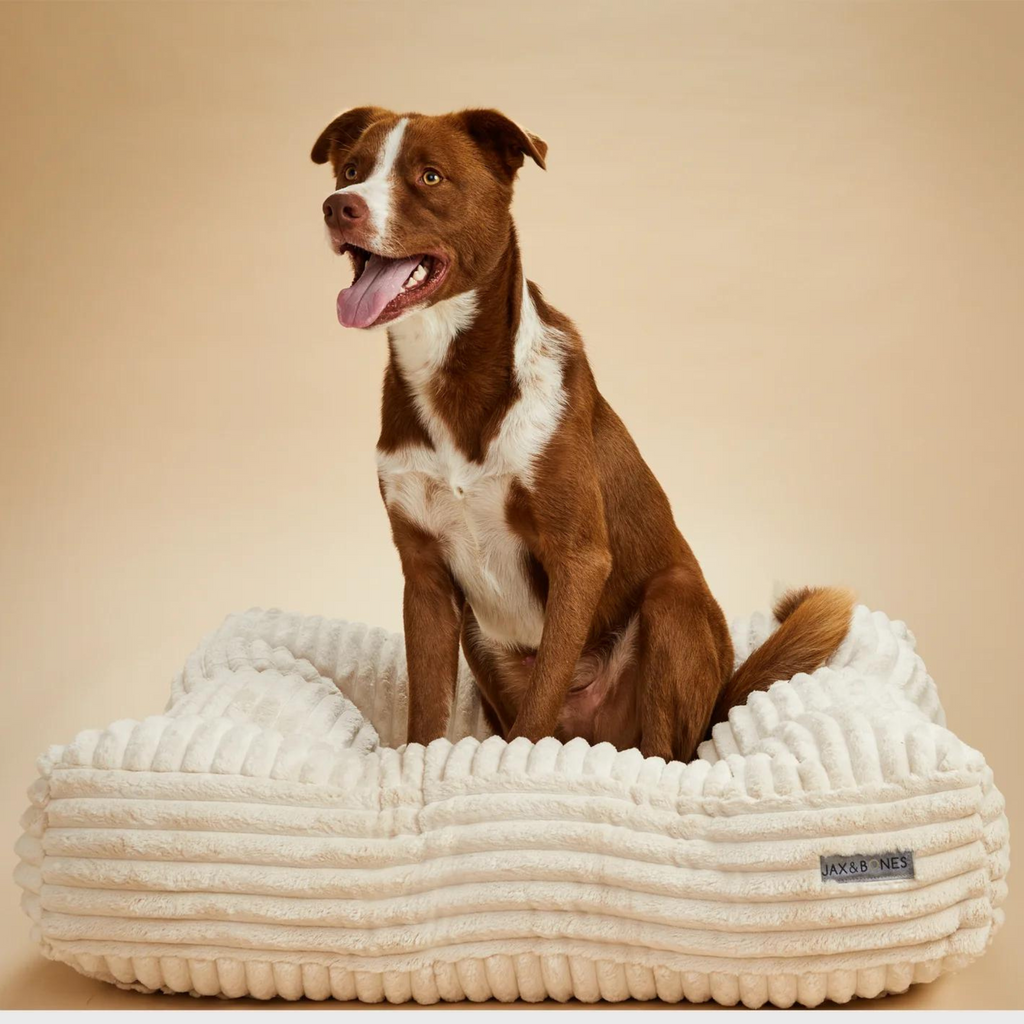 Jax & bones dog beds hot sale