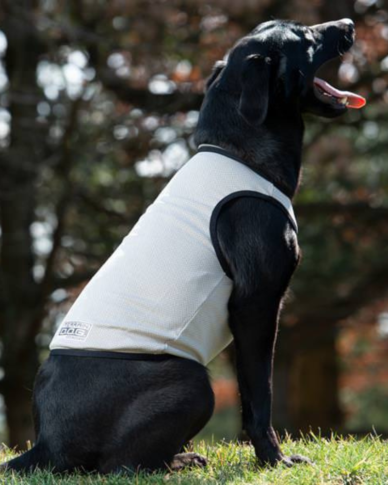 Cooling Dog Vest (FINAL SALE) Wear TERRAIN D.O.G.   
