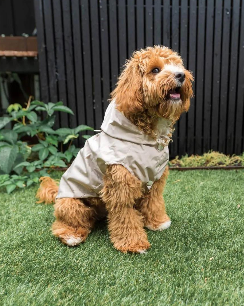 Life Dog Raincoat Wear FUZZYARD   