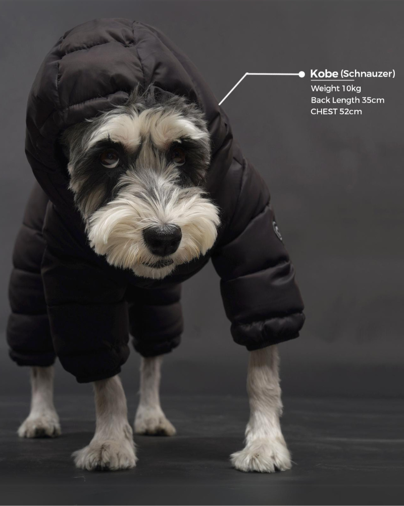 Padded Winter Coverall for Dogs w/ Hood Wear SSOOOK   
