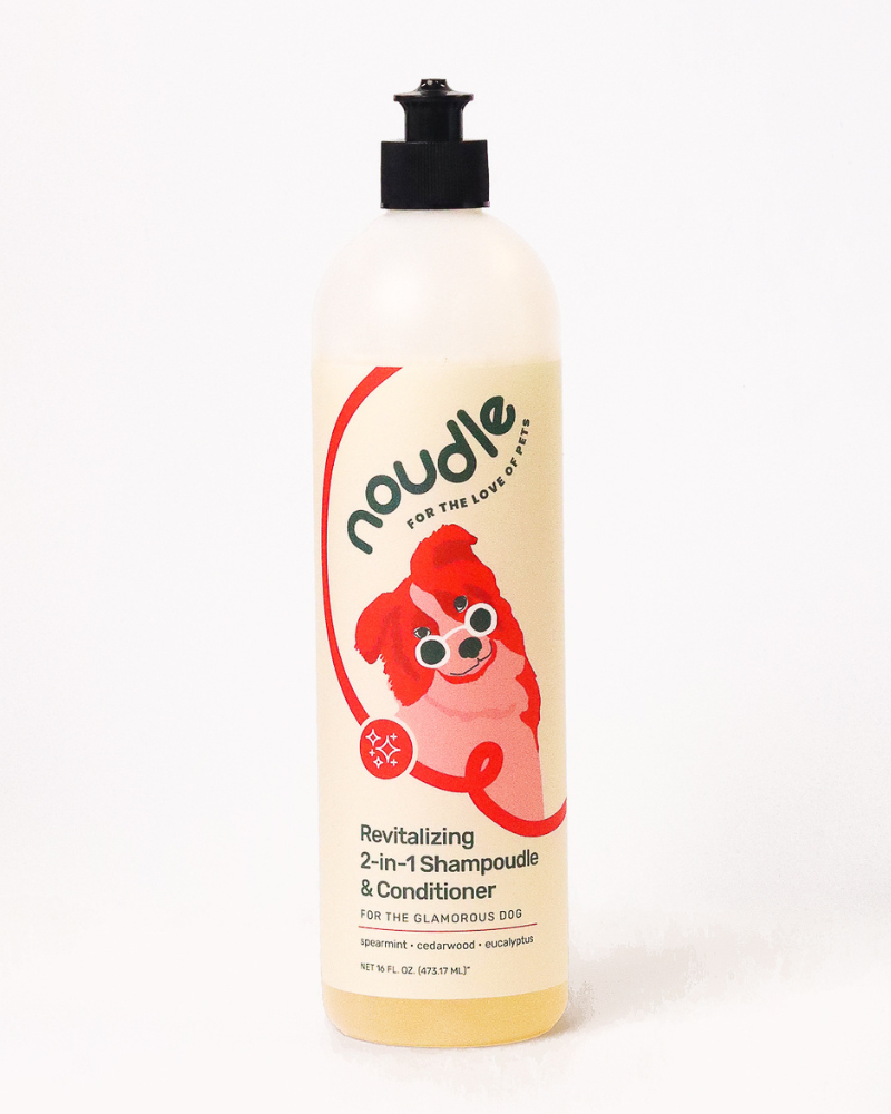Revitalizing 2-in-1 Shampoudle & Conditioner  (Cruelty Free & Vegan) HOME NOUDLE   