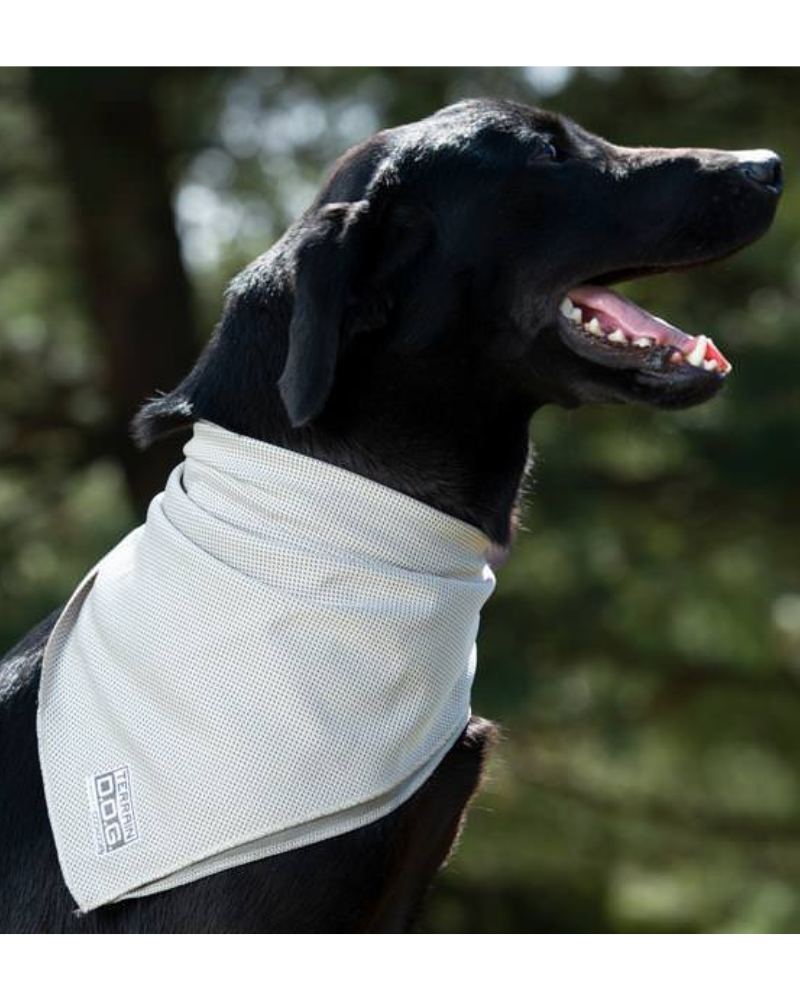 Cooling Dog Bandana (FINAL SALE) Wear TERRAIN D.O.G.   