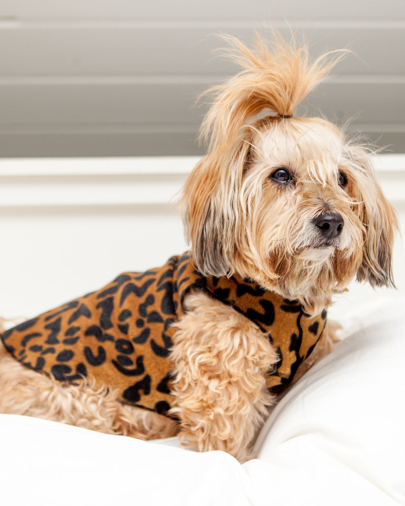 Stretch Fleece Pullover in Leopard Print Wear GOLD PAW   