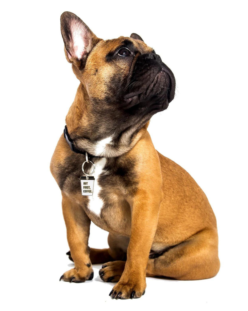 Coffee First Custom Dog ID Tag (Custom/Drop-Ship) Wear TRILL PAWS   