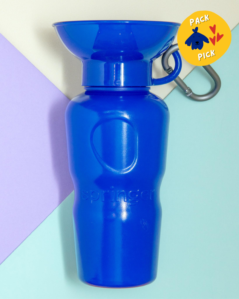 Dog Travel Water Bottle (FINAL SALE) Eat SPRINGER   