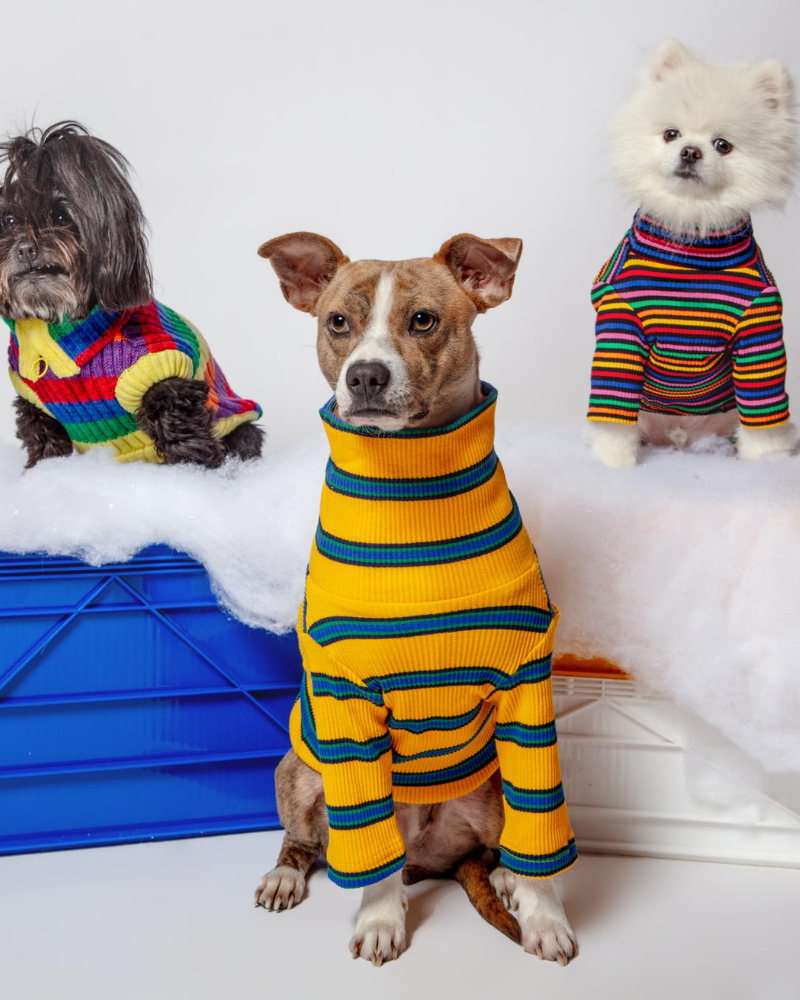 Preppy V-neck Striped Dog Sweater Pullover