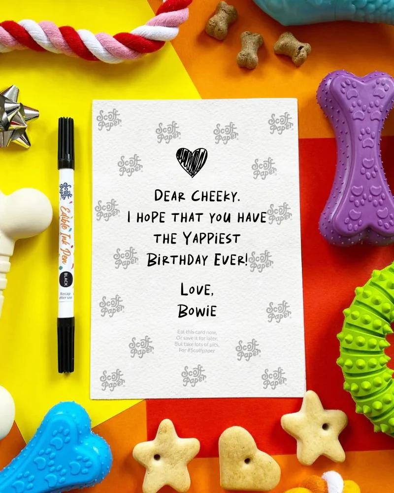 SCOFF PAPER | Edible Birthday Card for Dogs (Bacon Flavor) | DOG & CO.