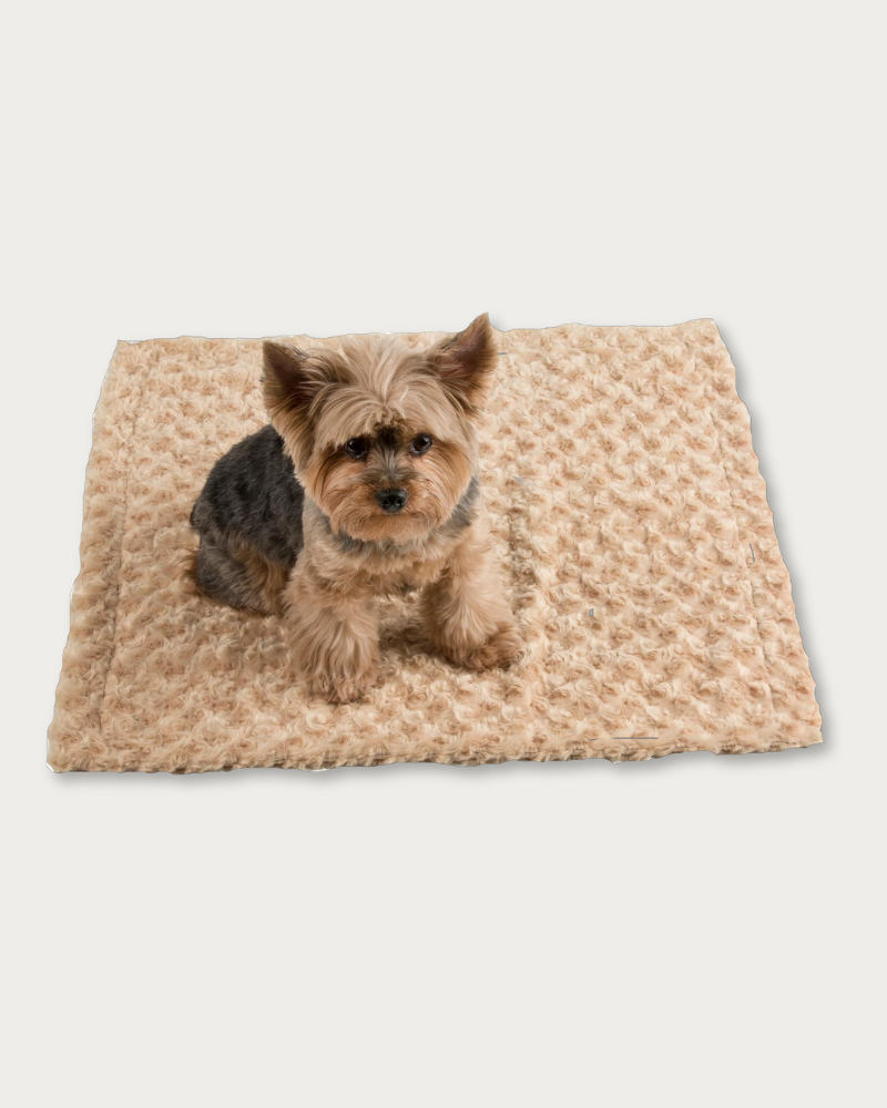 Small Cuddle Minky Blanket in Camel (Made in the USA) HOME PETOTE   