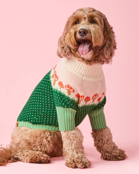 完売品 THE TOE Schloss Holiday Dog Knit Schloss Dog Knit – THE TOÉ