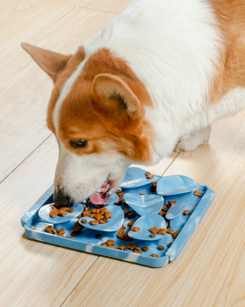BOWLS, PLACEMATS + LICK MATS | DOG & CO.