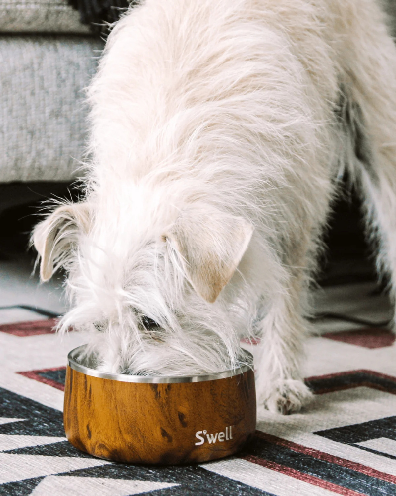 Stainless Steel Dog Bowl in Teakwood Eat S'WELL