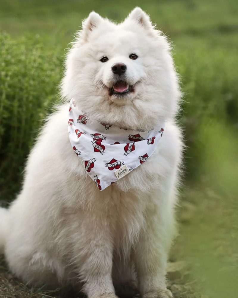 Love DAD Dog Bandana Wear THE PAWS