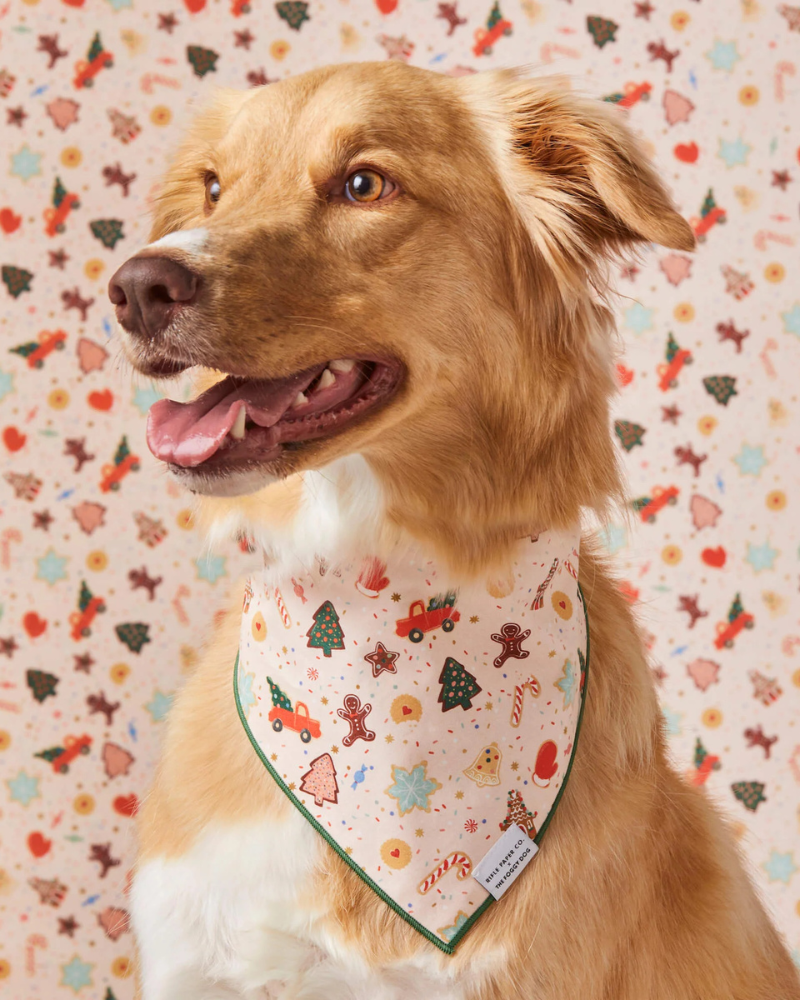 Rifle Paper Co. X TFD Holiday Cookies Dog Bandana for Dogs Wear THE FOGGY DOG