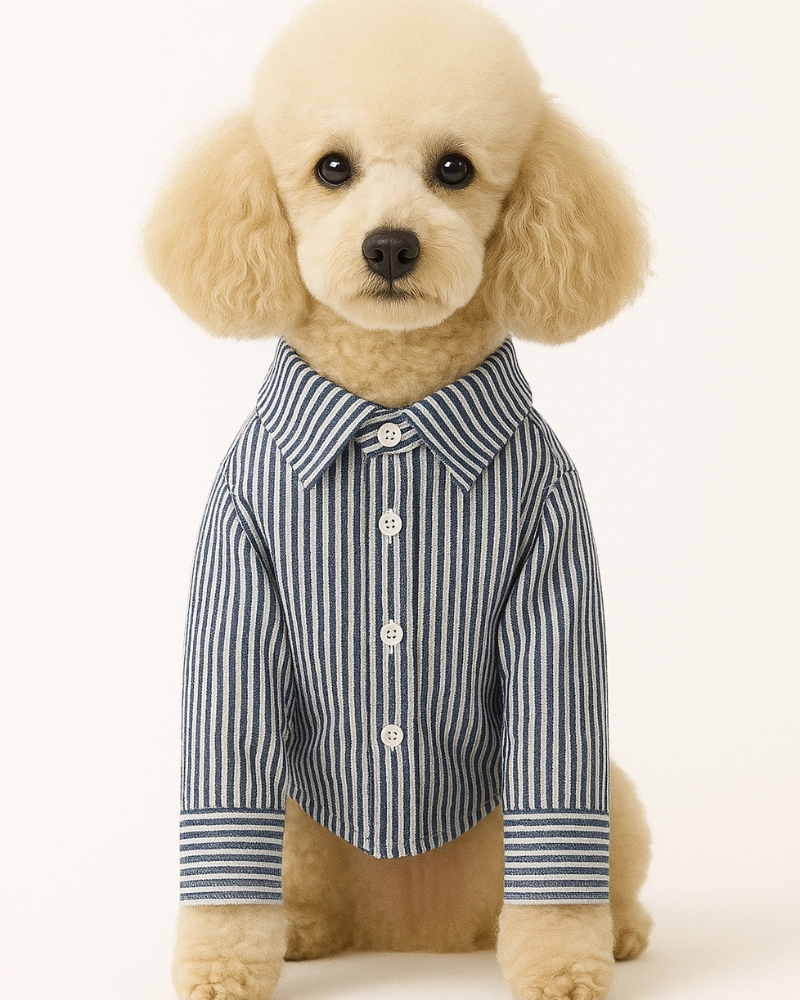 Slim Fit Organic Cotton Button Down Dog Shirt in Striped Navy Blue Wear COLETTE ET GASTON