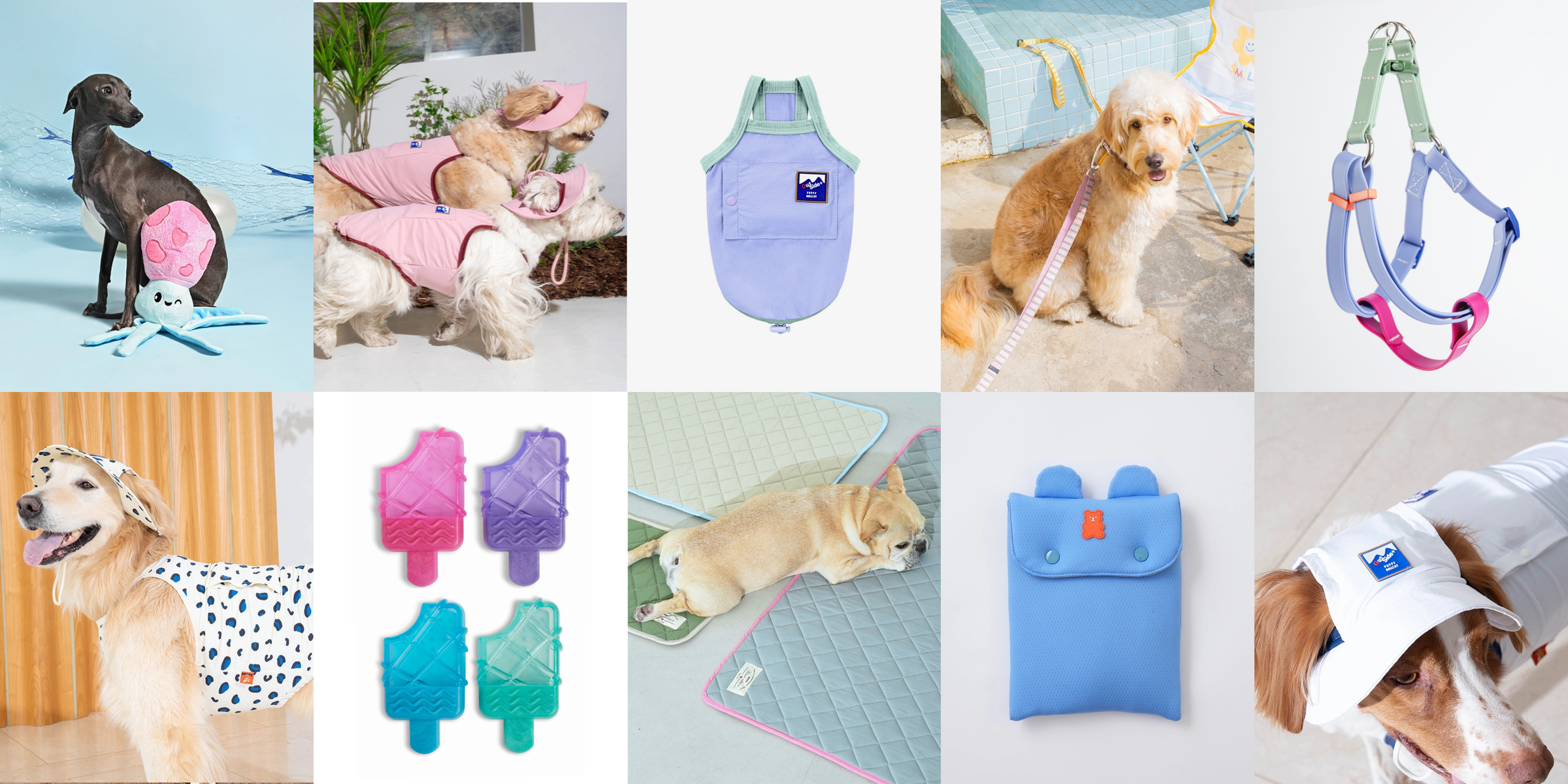 THEＨ.Ｗ.DOG &ＣＯ DOG & CO. | Quality Pet Products, In-Store & Online