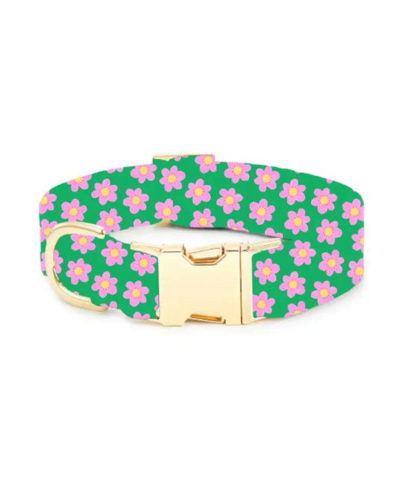 Flower Power Dog Collar (Made in the USA) WALK THE FOGGY DOG   