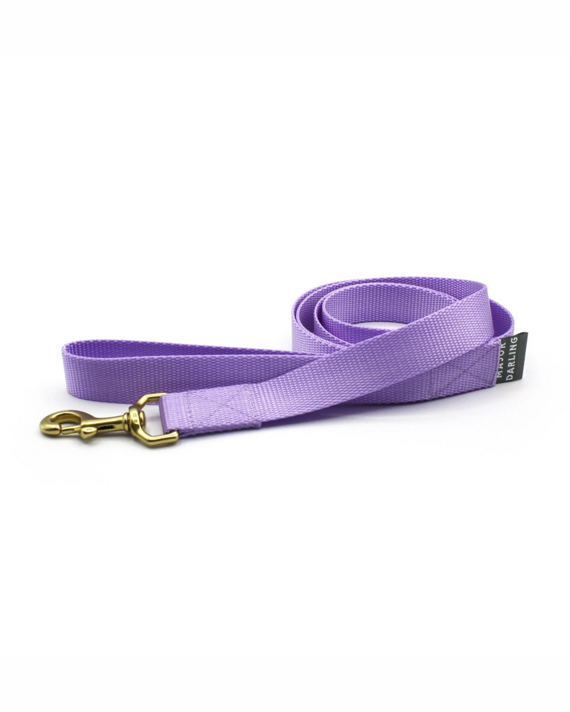 Basic Nylon Dog Leash in Lilac (Made in the USA) WALK MAJOR DARLING   