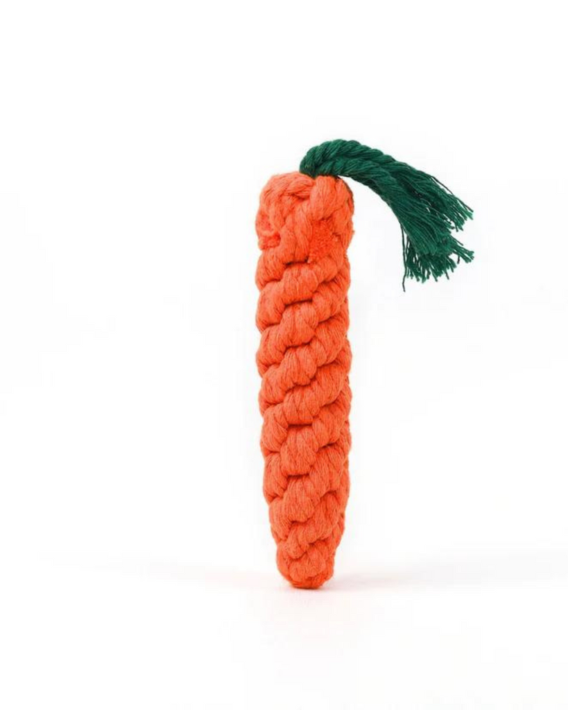 Eco-Friendly Carrot Rope Dog Toy Play KNOTTY PAWS   