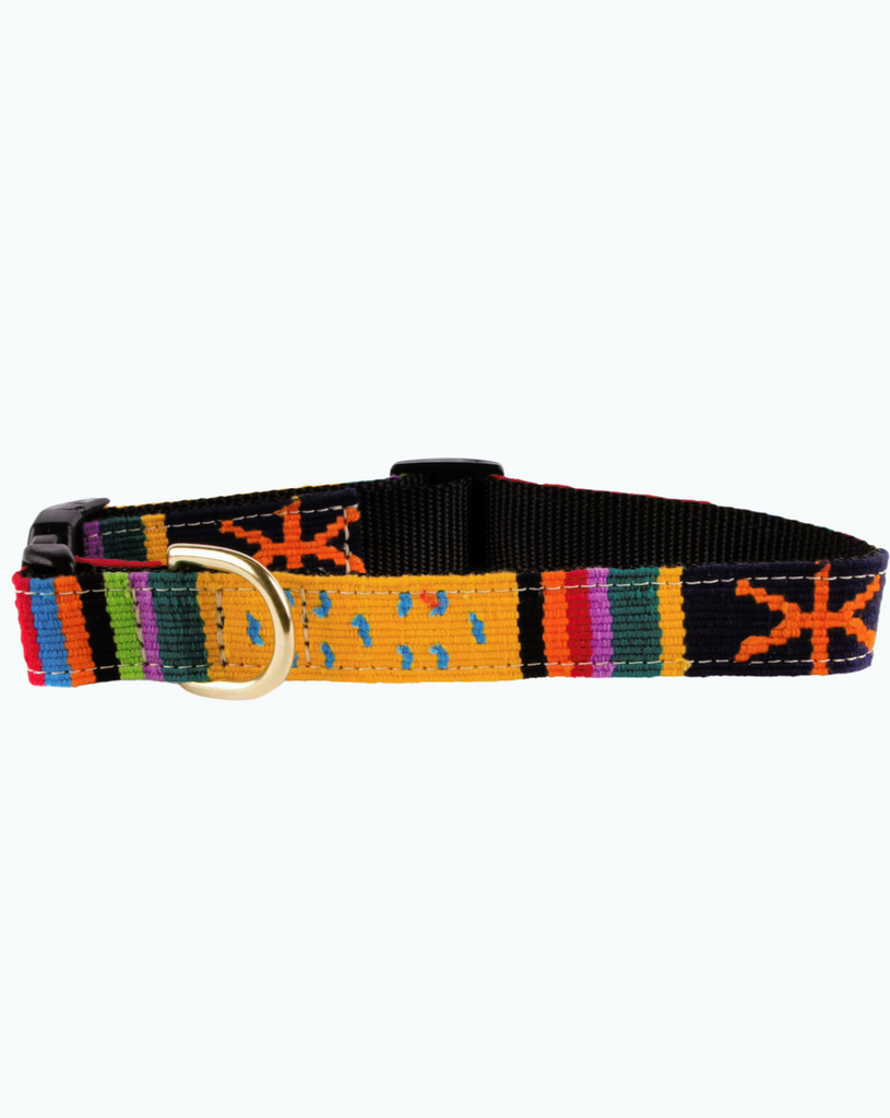 Sun Valley Holiday Collar (Made in the USA) WALK A TAIL WE COULD WAG   