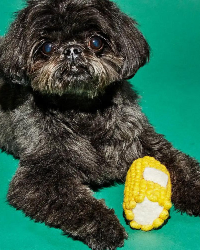 Boiled Wool Corn Dog Toy Play WARE OF THE DOG   