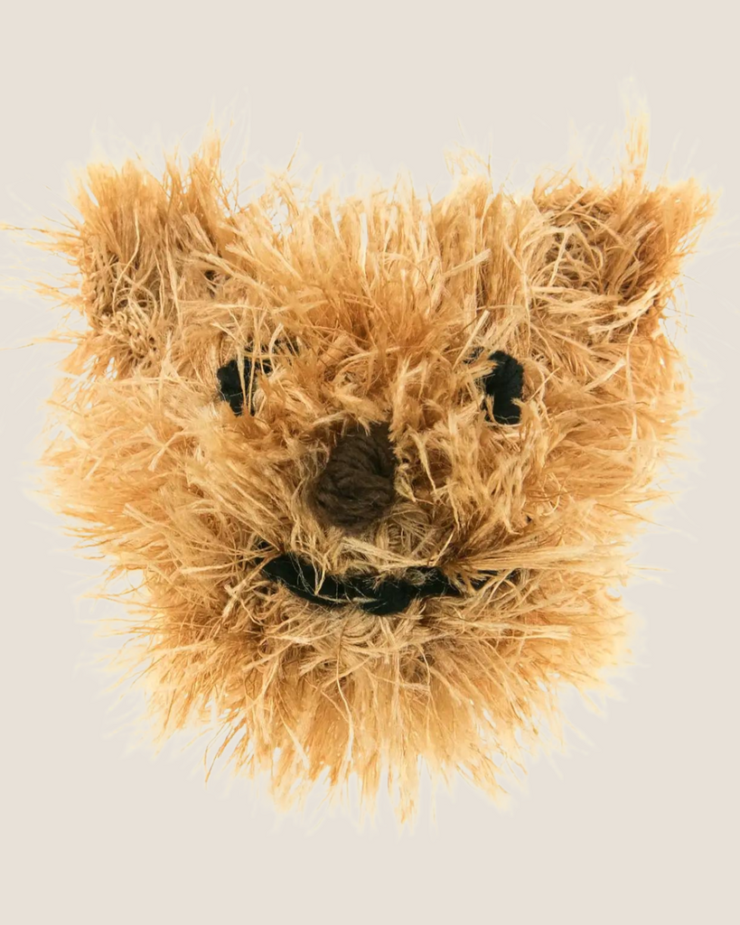 Fuzzy Bear Squeaky Dog Toy Play OOMALOO   