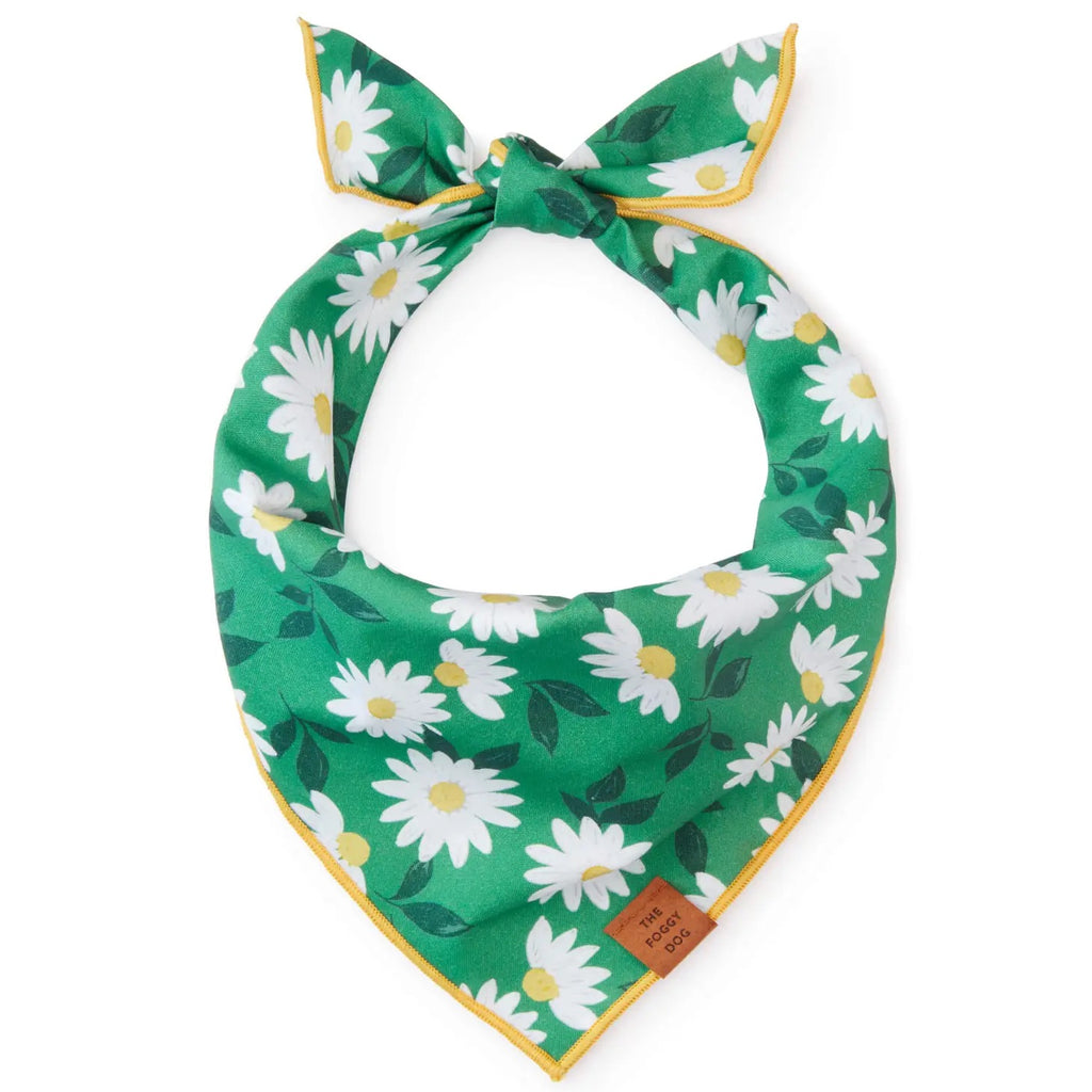 Coming Up Daisies Dog Bandana (Made in the USA) Accessories THE FOGGY DOG   