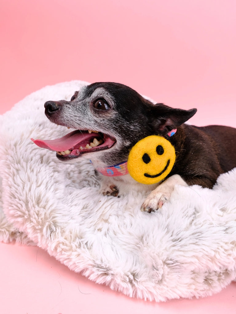 Smiley Face Collar Accessory (Made in the USA) Wear MIMI GREEN