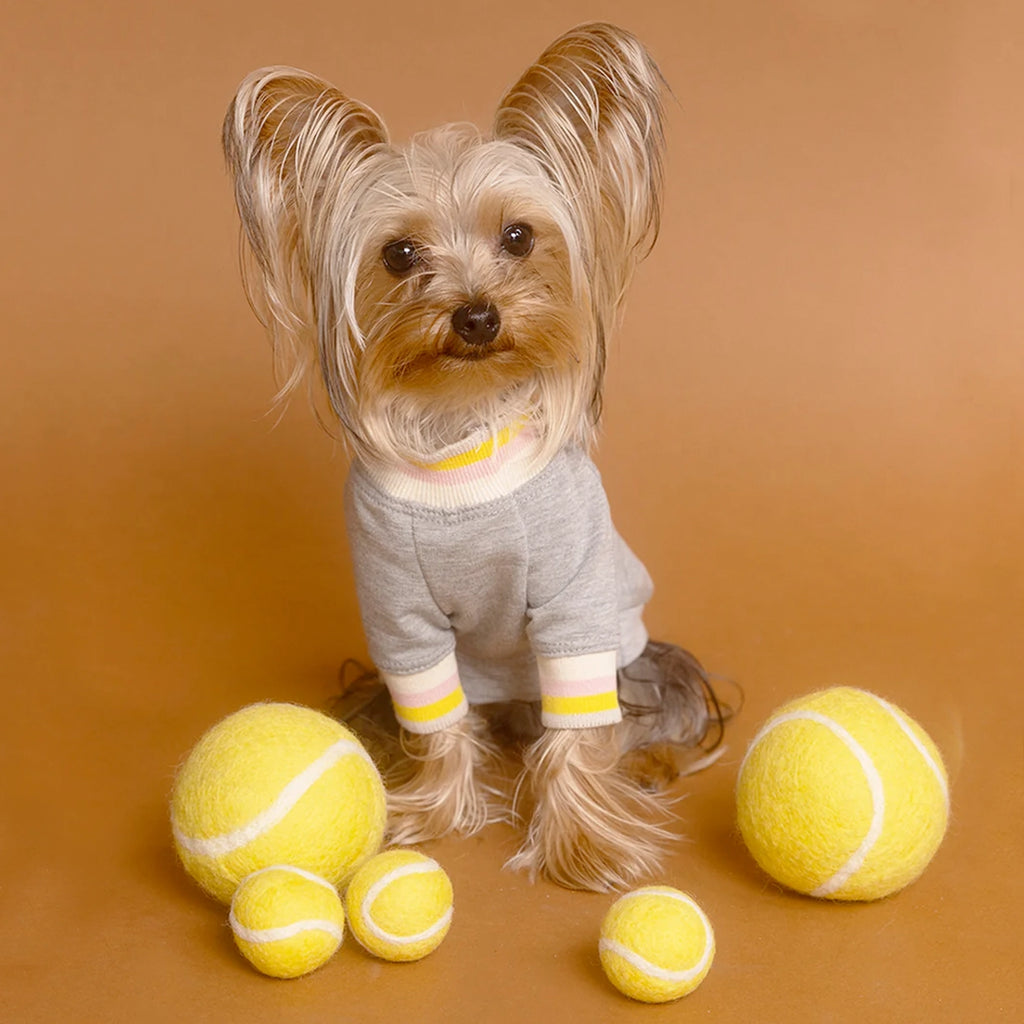 Wool Tennis Ball Dog Toy Play MODERN BEAST