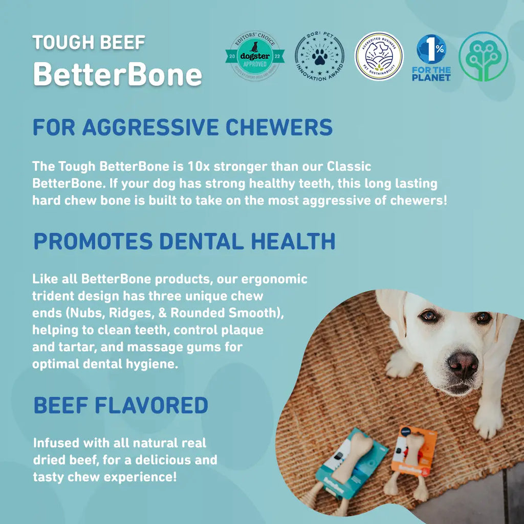 TOUGH All Natural Eco-Friendly Dog Chew Toy (Unflavored) Play BETTERBONE   